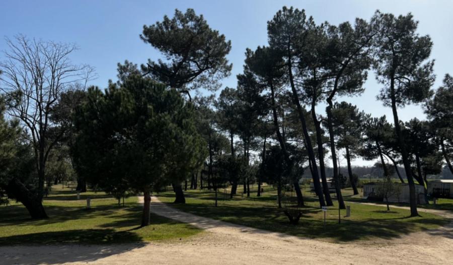 Camping La Maltournee Sigloy Exteriör bild